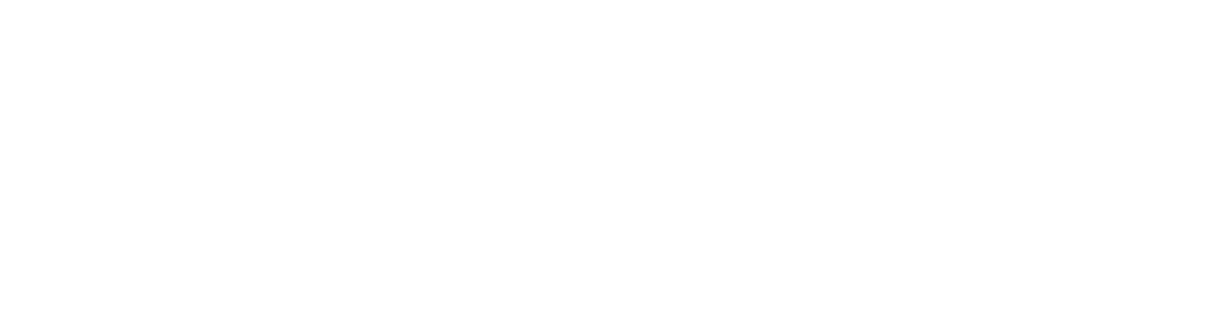 logo magis-power